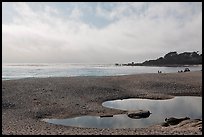 Beach and Carmel Bay, afternoon. Carmel-by-the-Sea, California, USA ( color)