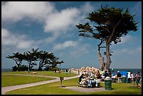 Lovers Point Park. Pacific Grove, California, USA ( color)