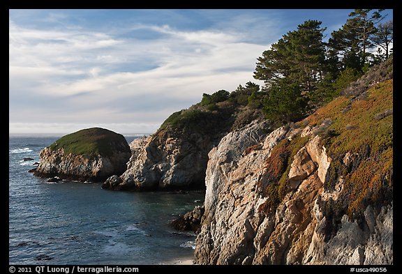 Bluff, China Cove. Point Lobos State Preserve, California, USA