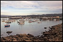 Harbor and Fishermans Wharf, late afternoon. Monterey, California, USA ( color)