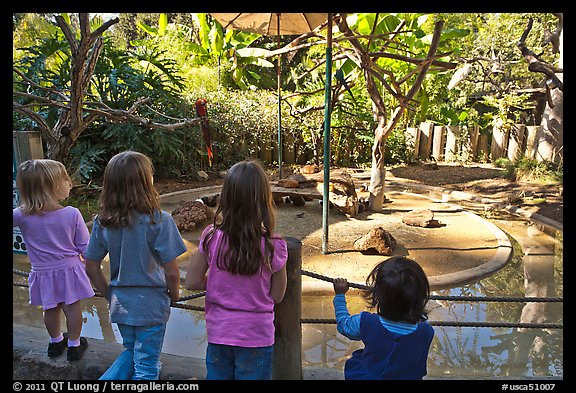 Children watching animal exhibit, Happy Hollow Zoo. San Jose, California, USA