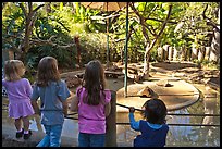 Children watching animal exhibit, Happy Hollow Zoo. San Jose, California, USA (color)