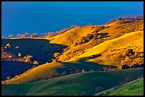 Hills at sunset, Evergreen. San Jose, California, USA