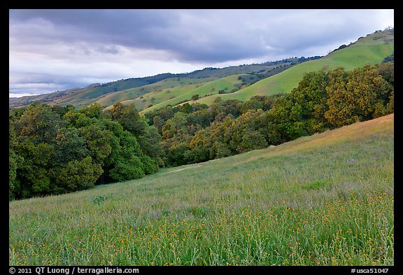 Hills in spring, Evergreen. San Jose, California, USA (color)