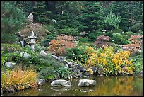 Pond and Japanese garden in autumn. Saragota,  California, USA (color)