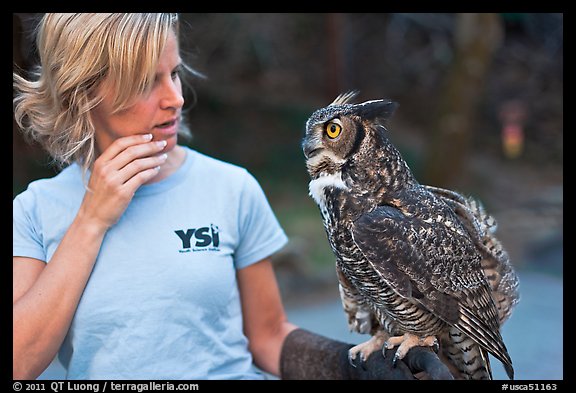 Owl perched on woman's arm, Alum Rock Park. San Jose, California, USA (color)