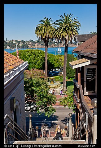 Park and Bay seen from stairs, Sausalito. California, USA