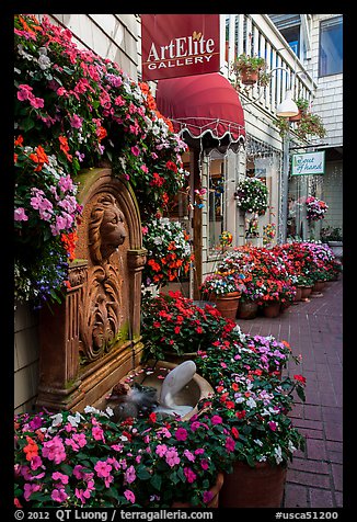 Art gallery decorated with flowers, Sausalito. California, USA