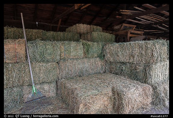 Hay in barn, Ardenwood farm, Fremont. California, USA (color)
