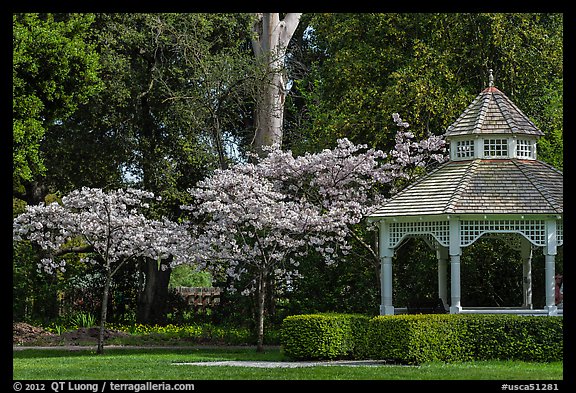 Gazebo and blossoming trees, Ardenwood historic farm regional preserve, Fremont. California, USA