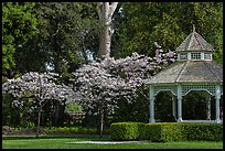 Gazebo and blossoming trees, Ardenwood historic farm regional preserve, Fremont. California, USA ( color)