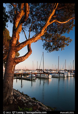 Municipal marina, Vallejo. San Pablo Bay, California, USA (color)