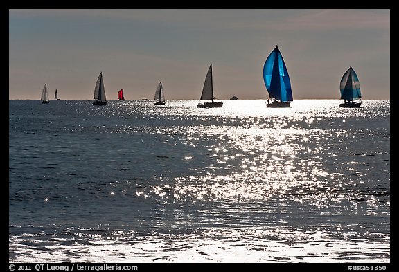 Sailboats and glimmer. Santa Cruz, California, USA (color)