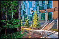 Redwood trees and modern building, UCSC. Santa Cruz, California, USA (color)