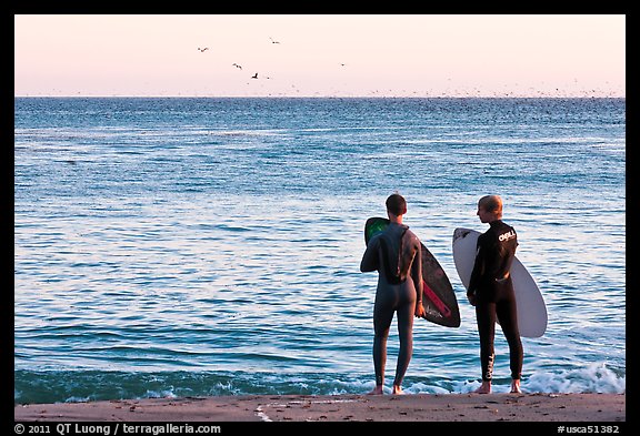 Surfers holding boards, open ocean, and birds. Santa Cruz, California, USA (color)