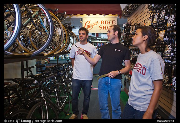 Bicycle shopping. Stanford University, California, USA (color)
