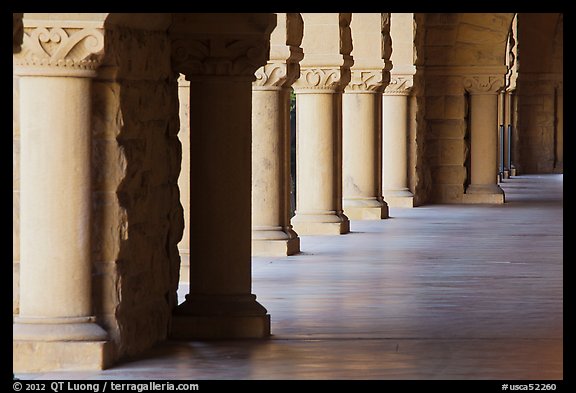 Columns in Main Quad. Stanford University, California, USA (color)