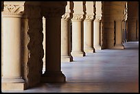 Columns in Main Quad. Stanford University, California, USA (color)