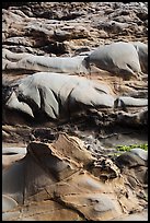 Eroded rock, Bean Hollow State Beach. San Mateo County, California, USA ( color)