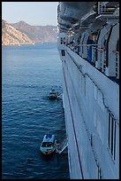 View from cruise ship anchored off island coast, Catalina. California, USA ( color)