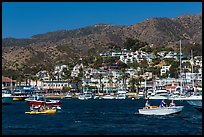 Avalon seen from harbor, Santa Catalina Island. California, USA ( color)