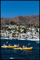 Sea kayaking in Avalon harbor, Catalina Island. California, USA (color)