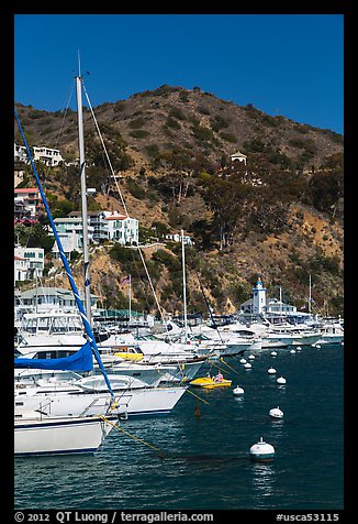 Yachts, Avalon harbor, Catalina Island. California, USA