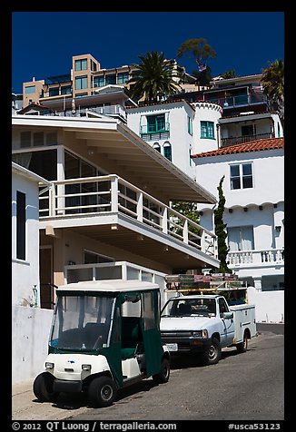 Golf cart and hillside houses, Avalon, Santa Catalina Island. California, USA (color)