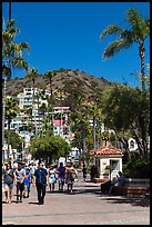 Street near waterfront, Avalon Bay, Santa Catalina Island. California, USA ( color)