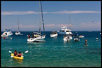 Recreational activities on water, Avalon, Santa Catalina Island. California, USA (color)