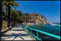 Waterfront promenenade, Avalon Bay, Catalina. California, USA ( color)
