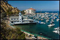 Yacht club, harbor, and Casino, Avalon, Catalina Island. California, USA ( color)