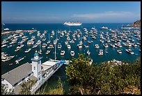 Avalon harbor from above, Avalon Bay, Catalina Island. California, USA ( color)
