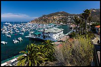 Harbor and waterfront, Avalon Bay, Catalina Island. California, USA (color)