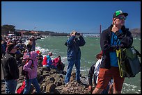 Spectators following America's Cup decisive race from shore. San Francisco, California, USA (color)