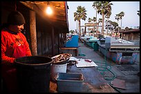 Fisherman, beachside fishing cooperative. Newport Beach, Orange County, California, USA ( color)