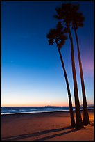 Palm trees and empty beach at sunset. Newport Beach, Orange County, California, USA ( color)