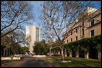 California Institute of Technology. Pasadena, Los Angeles, California, USA ( color)