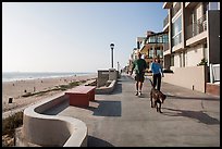 Couple walking dog on beachfront promenade, Manhattan Beach. Los Angeles, California, USA ( color)