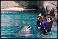 Guests interact with dolphin. SeaWorld San Diego, California, USA ( color)