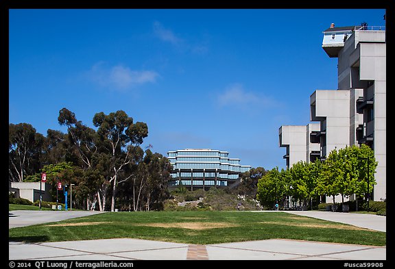 Campus perspective with Fallen Star and Geisel Library, University of California. La Jolla, San Diego, California, USA (color)