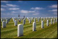 Gravestones, Fort Rosecrans National Cemetary. San Diego, California, USA ( color)