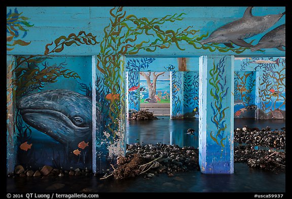 PCH underpass decorated with mural of ocean life, Leo Carrillo State Park. Los Angeles, California, USA