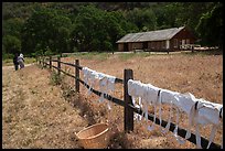 Laundry drying on fence, as elderly couple in period costume walks in distance, Fort Tejon. California, USA ( color)