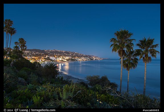 View from park at night. Laguna Beach, Orange County, California, USA