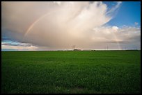 Pasture and rainbow in the spring. California, USA ( color)