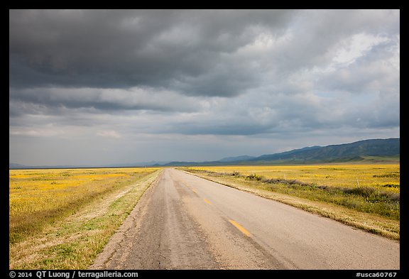 Road. Carrizo Plain National Monument, California, USA (color)