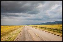 Road. Carrizo Plain National Monument, California, USA ( color)