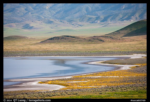 Soda Lake shore and hills from above. Carrizo Plain National Monument, California, USA (color)