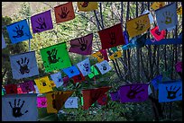 Flags in garden. Big Sur, California, USA ( color)